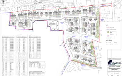 Plans for 100 affordable homes in Holbeach
